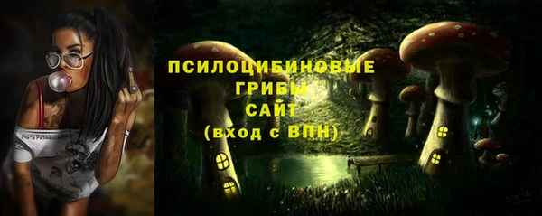 соль ск Вяземский