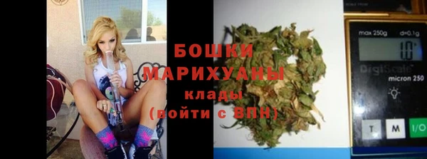 соль ск Вяземский