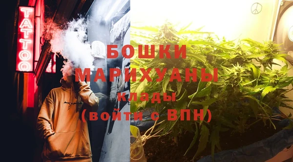 соль ск Вяземский