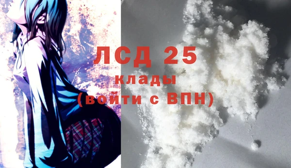 соль ск Вяземский